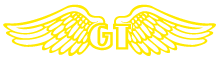 gt_logo